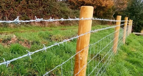 Barbed-Wire1