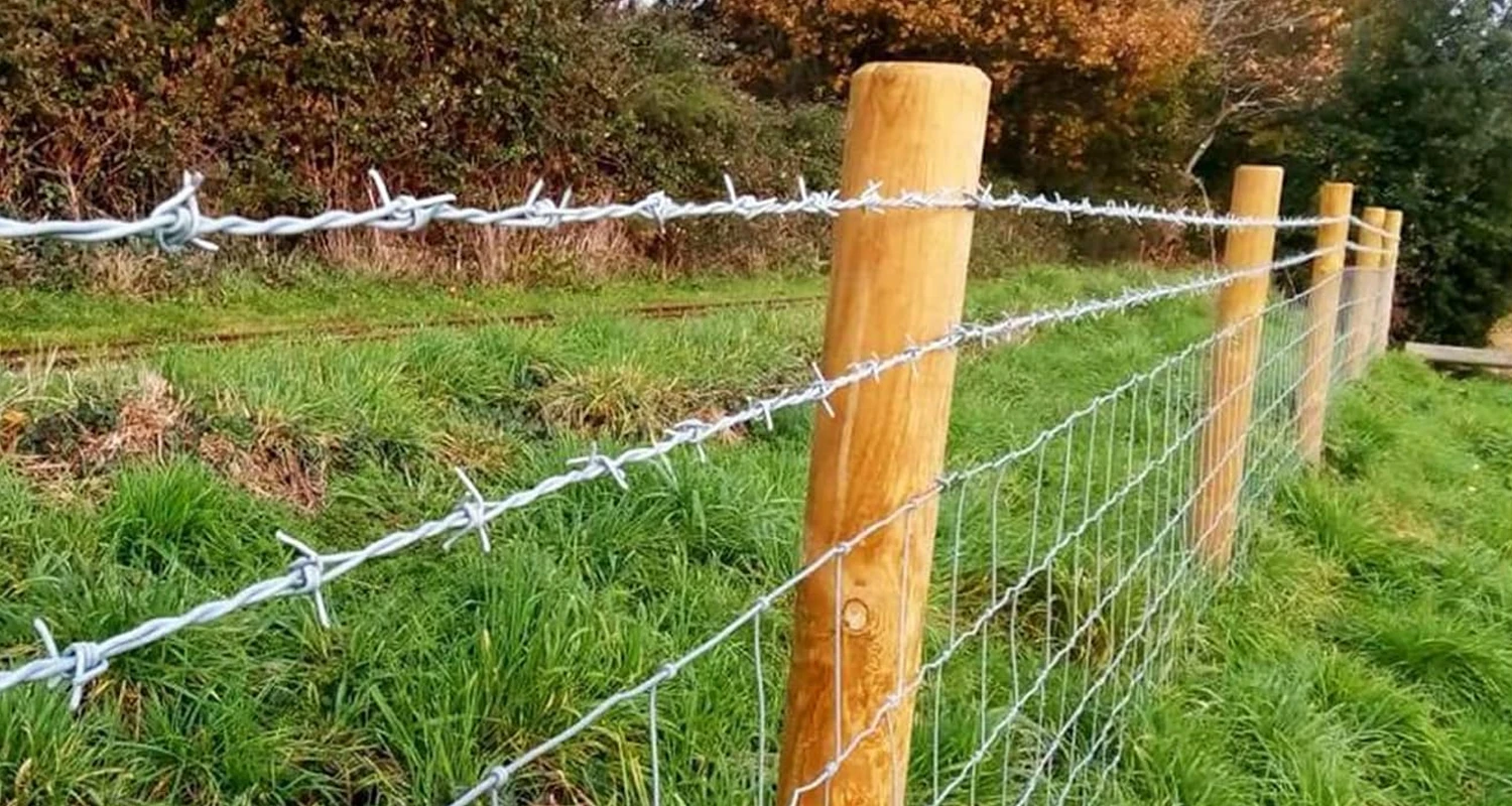 Barbed-Wire1