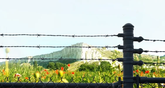 Barbed-Wire4