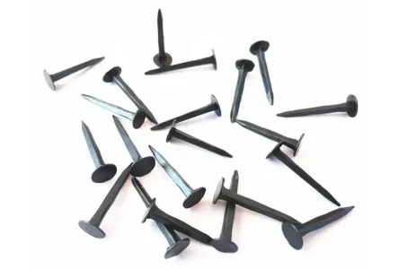shoe-tack-nails-1